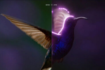 The Best AI Photo Editing Software You Should Be Using in 2025: 6 Apps