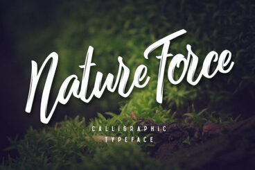 35+ Best Earthy & Nature Fonts 2025