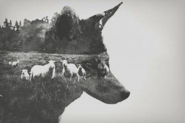 90+ Best Photoshop Filters + Plugins 2025 (+ How to Use Them)