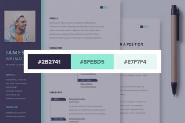 40+ Stylish Resume Color Schemes for 2025