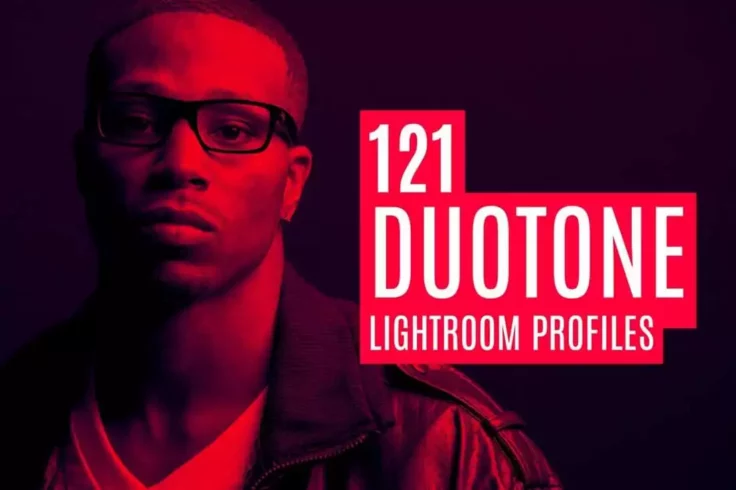 View Information about 121 Duotone Lightroom Profiles