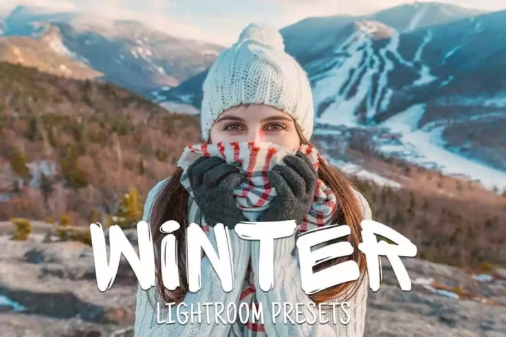 View Information about 50 Winter Lightroom Presets