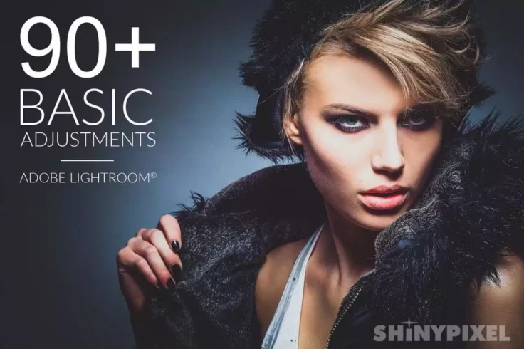 View Information about 90 Basic Adjustments Lightroom Presets