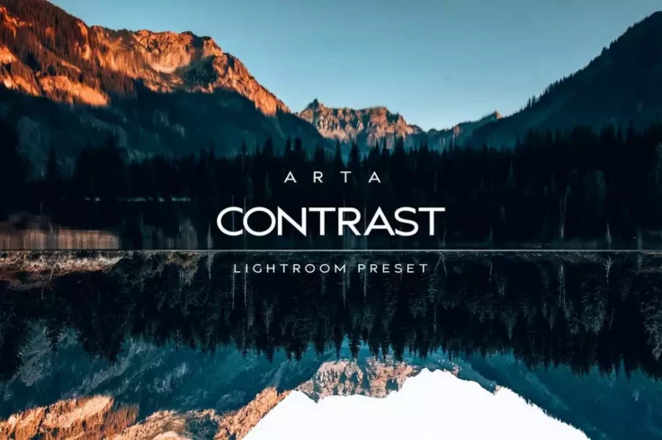 View Information about Arta Contrast VSCO Lightroom Preset