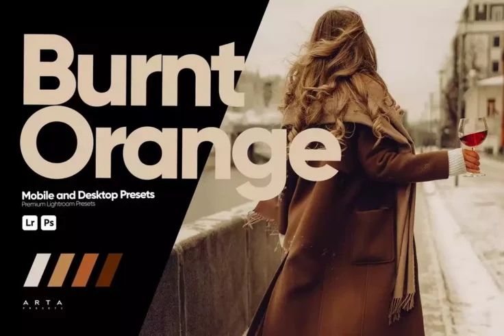 View Information about Burnt Orange VSCO Lightroom Presets