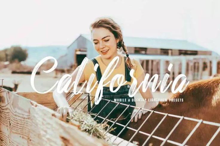 View Information about California Mobile & Desktop Lightroom Presets