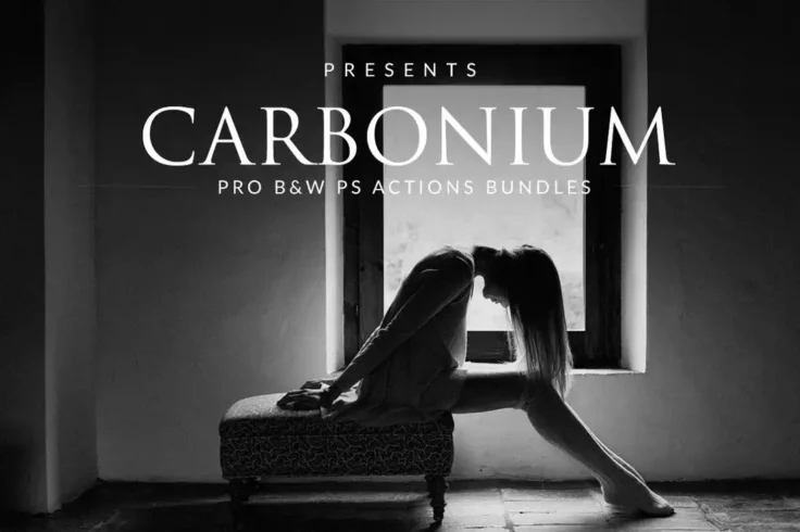 View Information about Carbonium Black & White Wedding Photshop Actions