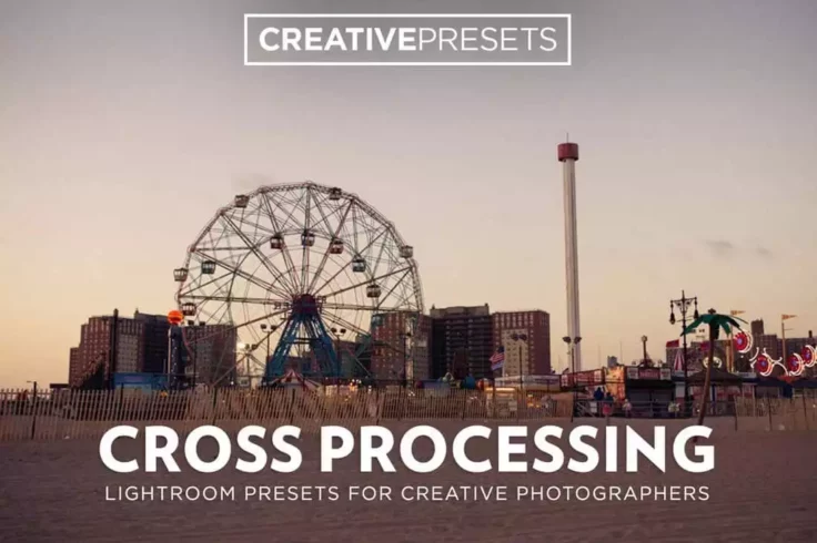 View Information about Cross Processing Lightroom Presets