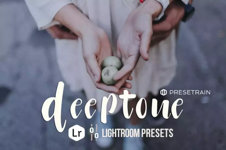 View Information about Deeptone Lightroom Presets