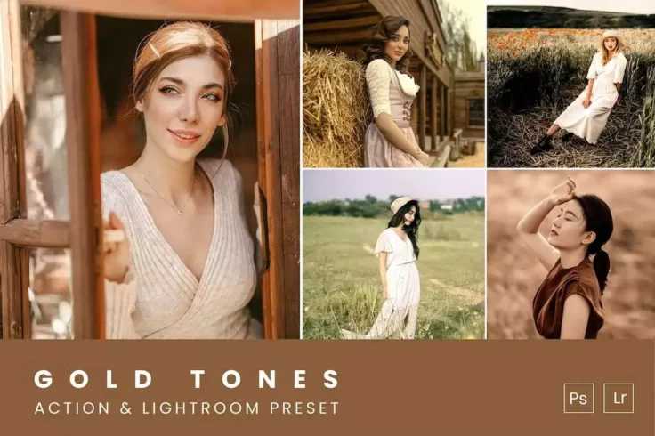 View Information about Gold Tones VSCO Photoshop Action