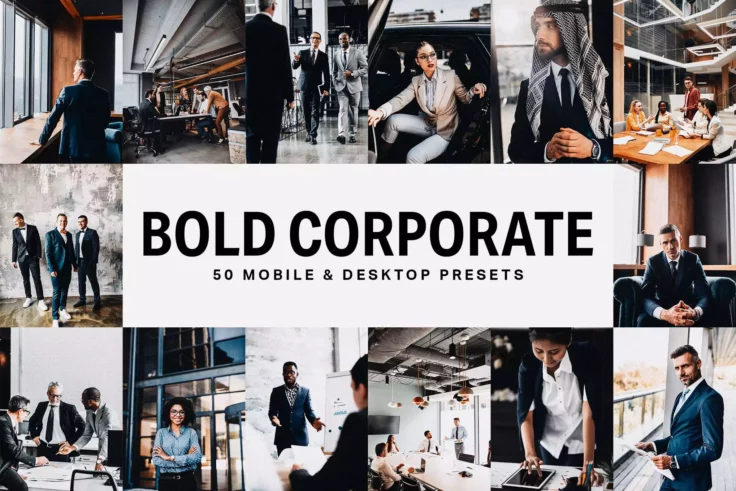 View Information about 50 Corporate Lightroom Presets