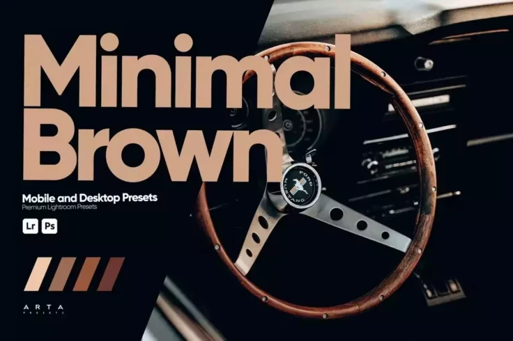 View Information about Minimal Brown VSCO Lightroom Presets