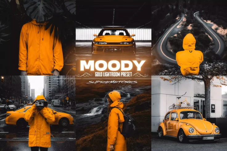 View Information about Moody Gold Lightroom Preset
