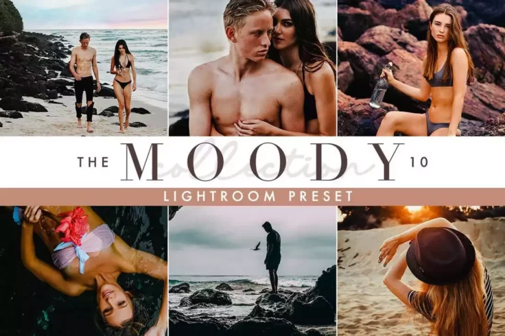 View Information about Moody Portrait Lightroom Presets