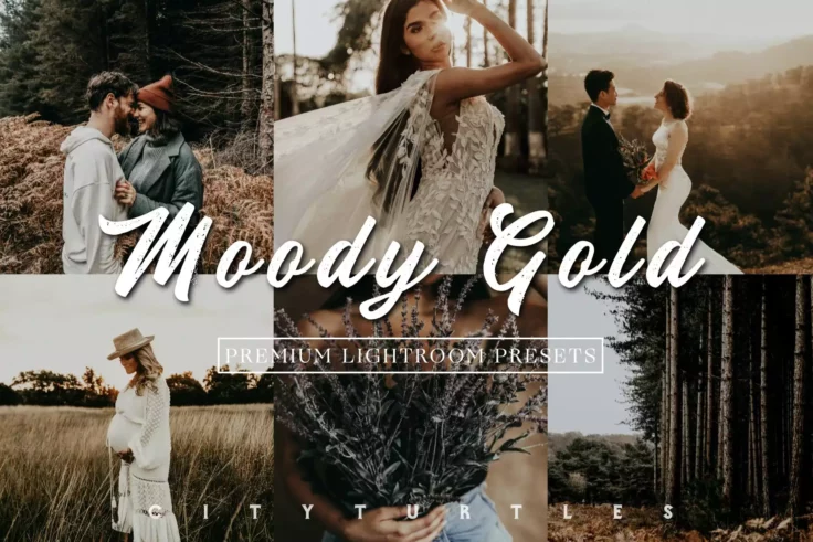 View Information about Moody Warm Outdoor Lightroom Presets