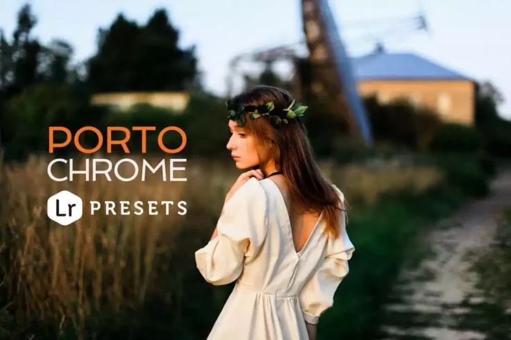 View Information about Portochrome Lightroom Presets
