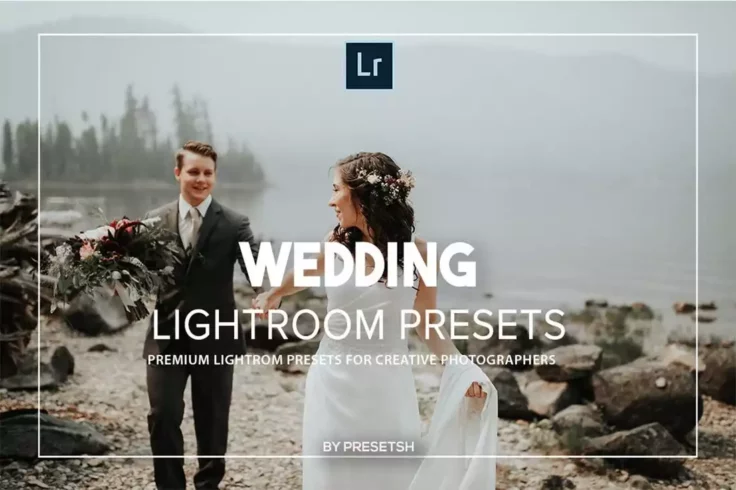 View Information about Professional Wedding Lightroom Presets