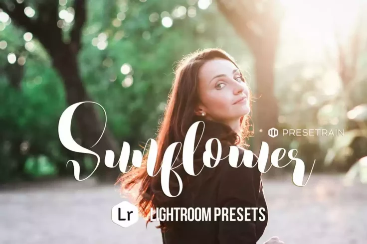 View Information about Sunflower VSCO Lightroom Presets